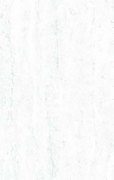 ACCURA 25X40 PATRICIA GREY (TK)